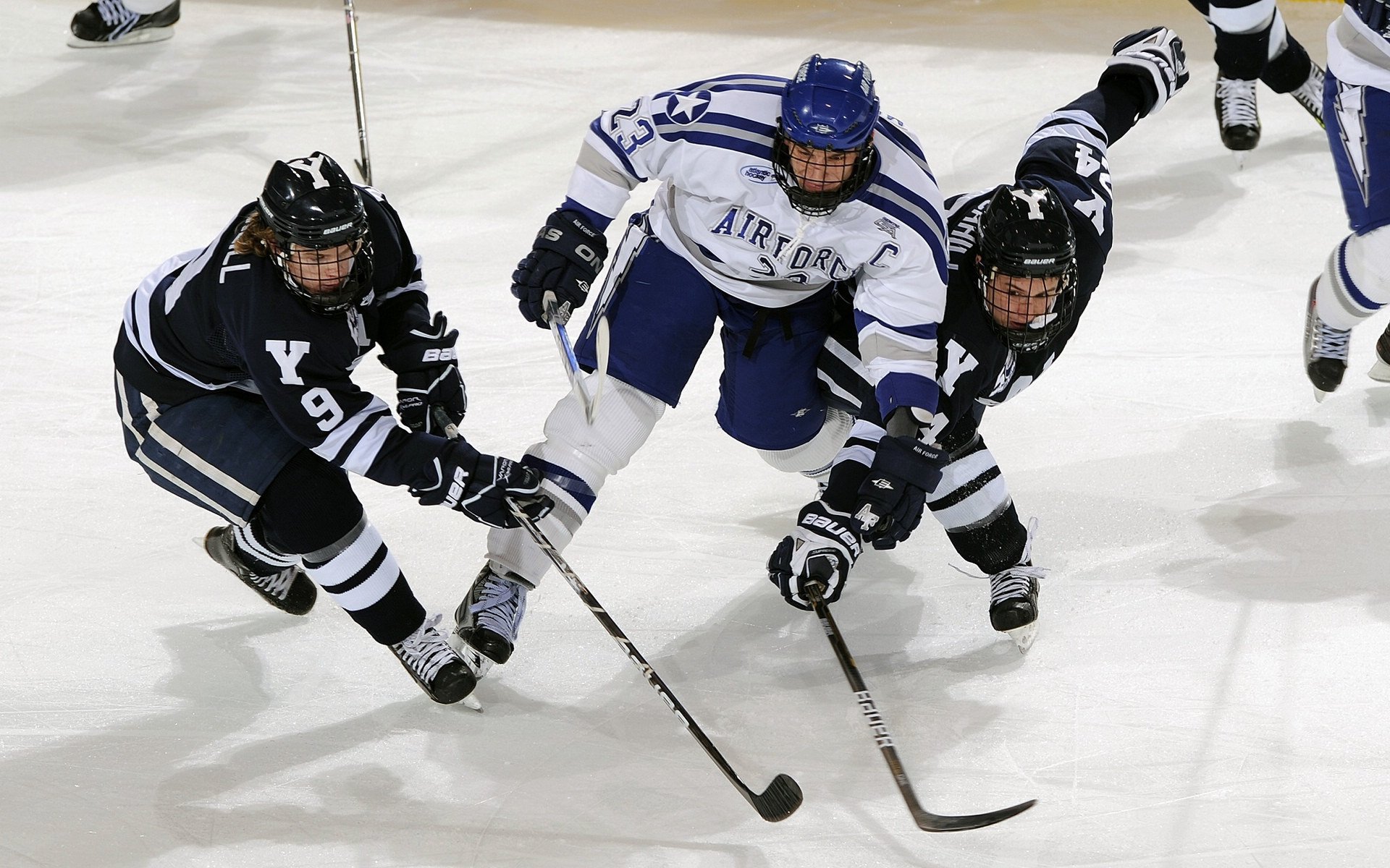 外教管理权限模糊影响整体协作,管理外教的工作