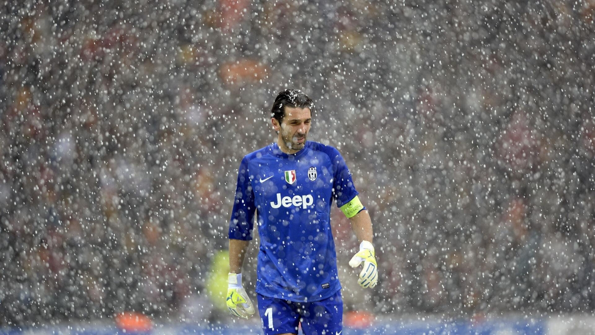 南非橄榄球队稳定表现，未来能否再登世界巅峰？，南非获得橄榄球世界杯